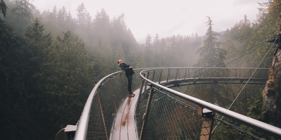 Person on a suspended walkway with wire rope mesh balustrade in a misty forest