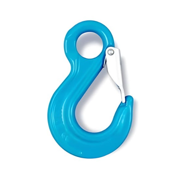 Gr10 Eye Sling Hook with Latch
