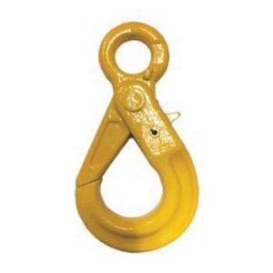 G80 Eye Traditional Self Locking Hook