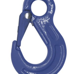 G100 Eye Sling Hook C/W Cast Latch